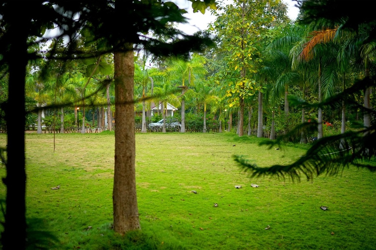 Rosewood Villas Pench hero view of forest lawn and open ground framed by tall trees.