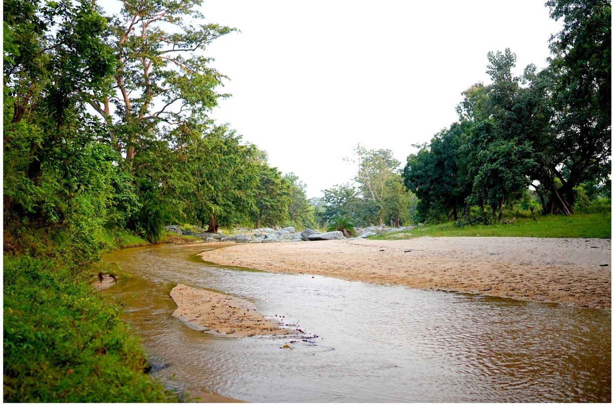 Rosewood Villas Pench forest stream scenic view with flowing water and natural rocks.