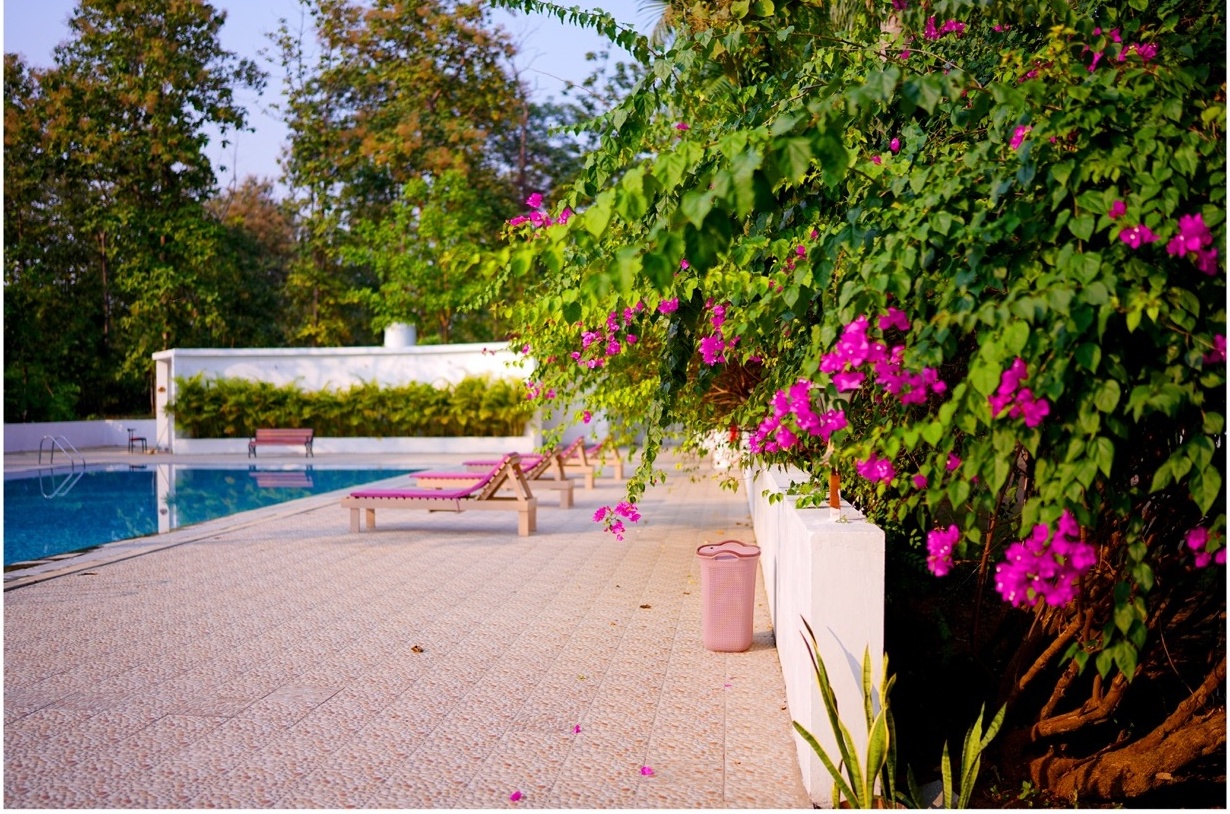 Rosewood Villas Pench poolside sitting area with bougainvillea flowers and chairs.